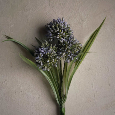 Décoration intérieure - arrangement floral | Bouquet de graminées allium bleu - 3 tiges