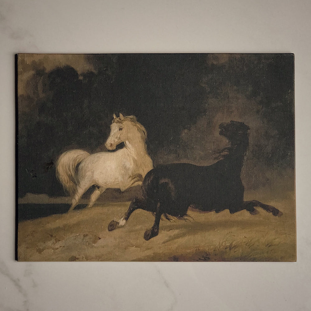Toile rigide - chevaux