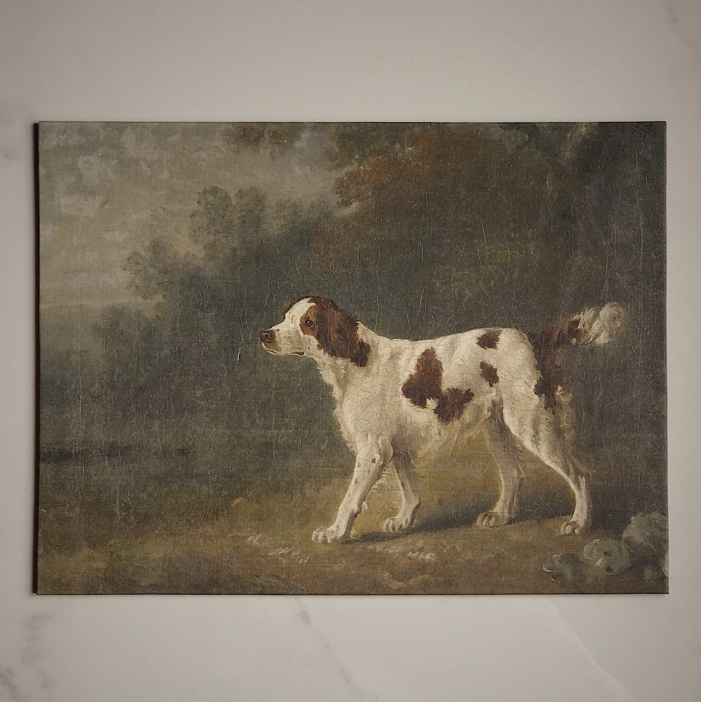 STRETCHED FLAT RIGID CANVAS - VINTAGE DOG