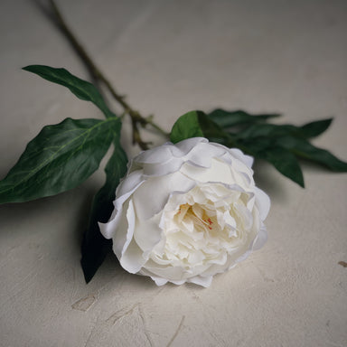 Décoration intérieure - arrangement floral |  Pivoine blanc artificielle
