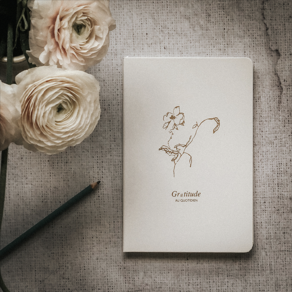 Journal de gratitude