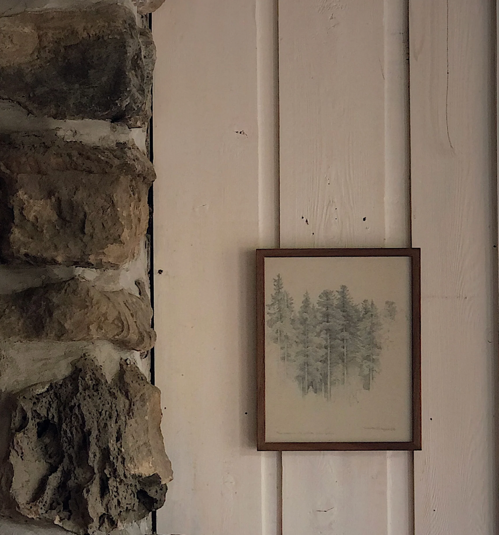 FINE ART PAPER PRINT - BATH FOREST