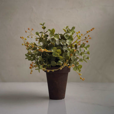 Sur mon x - curated home decor accessories potted eucalyptus accessoire de décoration maison vintage Eucalyptus en pot