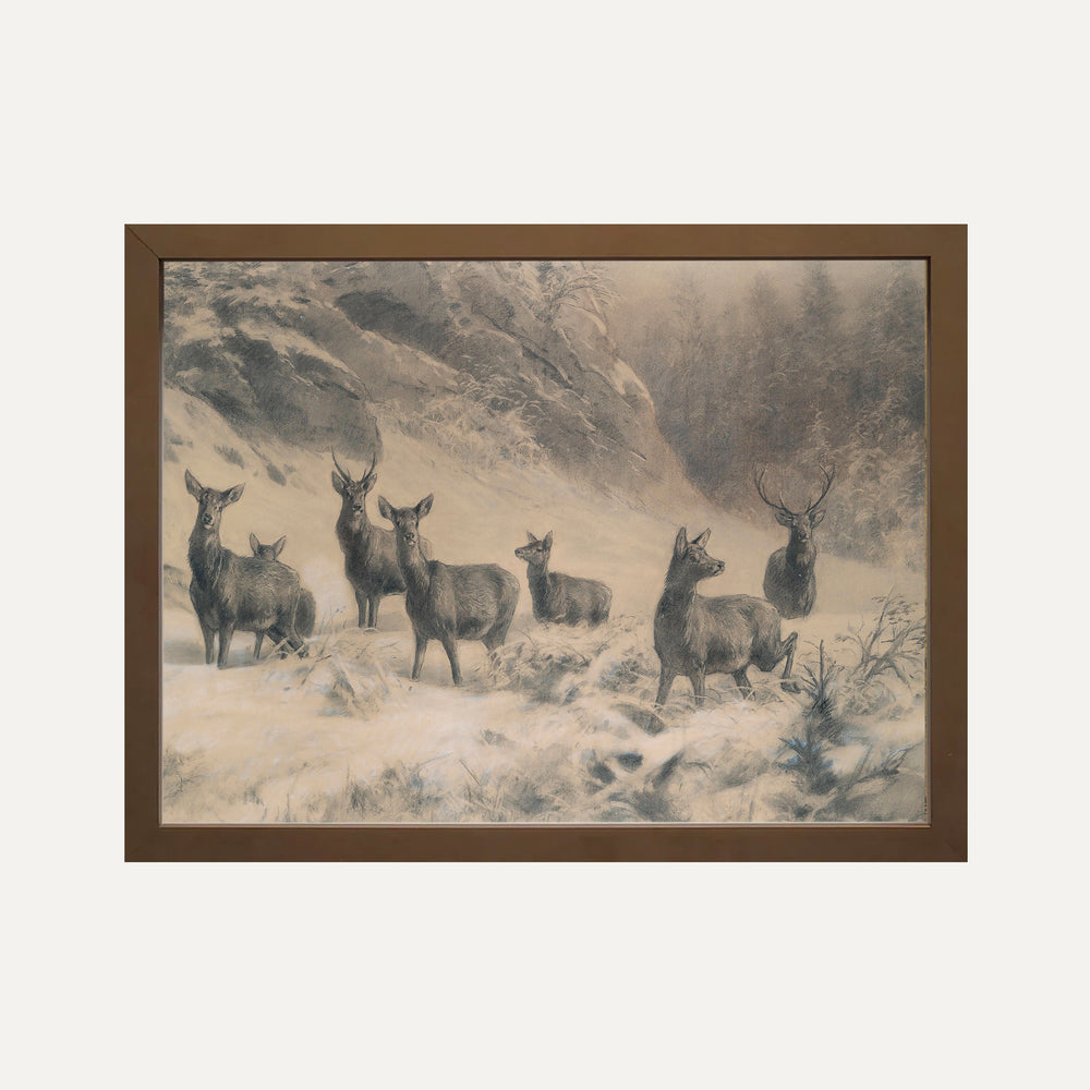 Impression sur papier beaux-arts- Les rennes sauvages