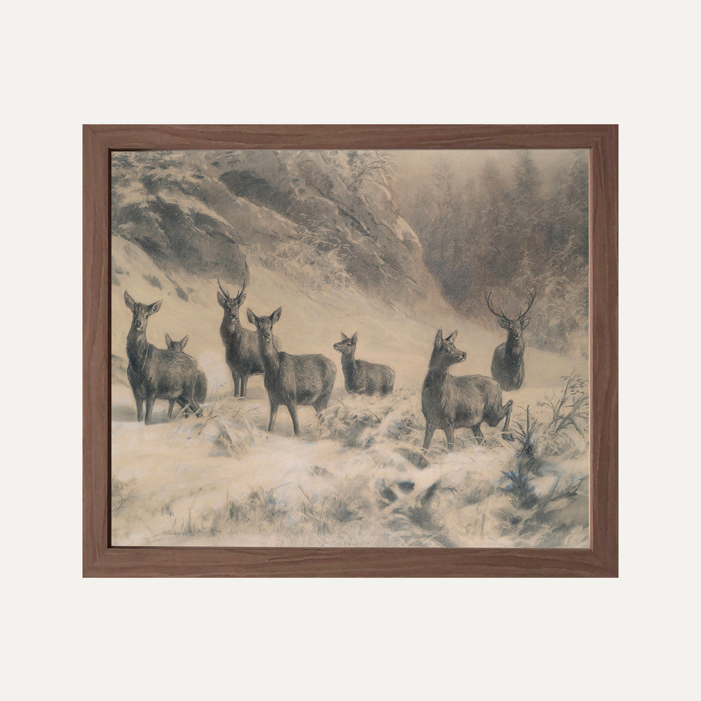 Impression sur papier beaux-arts- Les rennes sauvages