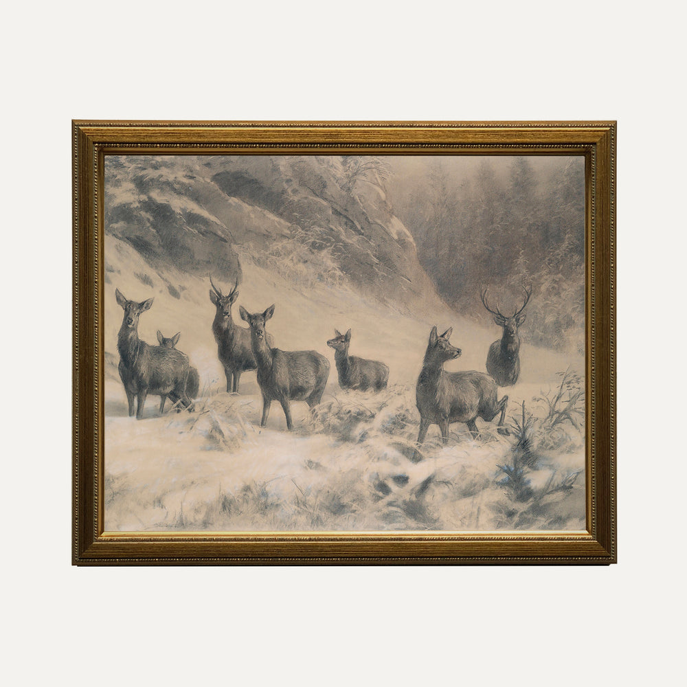 Impression sur papier beaux-arts- Les rennes sauvages