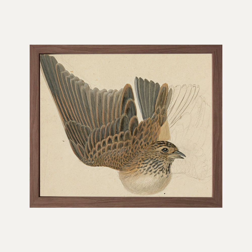 FINE ART PRINT - Majestic Serenity