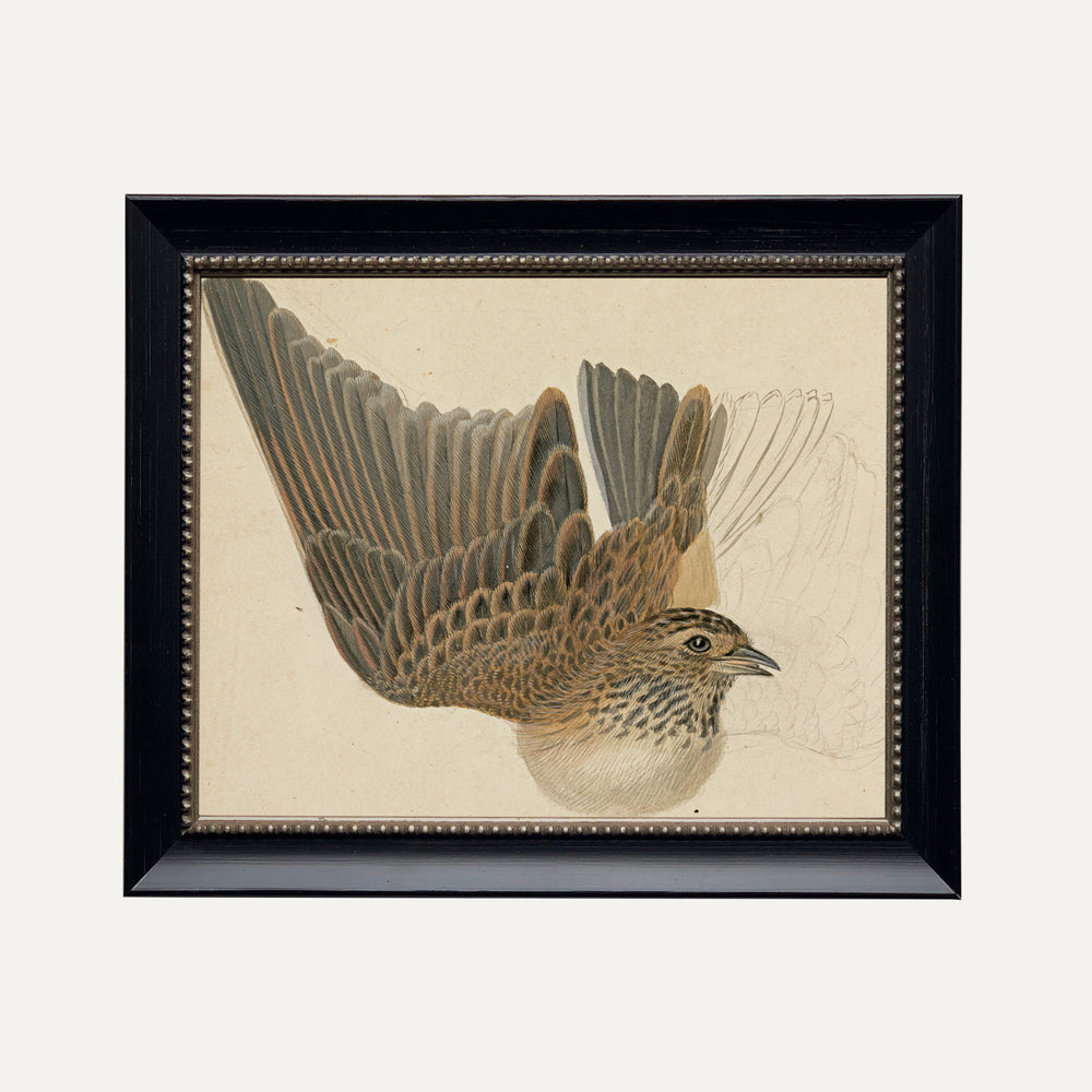 FINE ART PRINT - Majestic Serenity