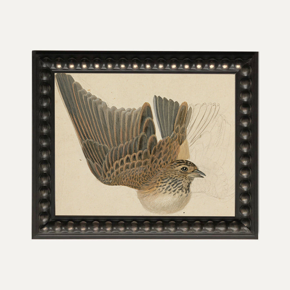 FINE ART PRINT - Majestic Serenity
