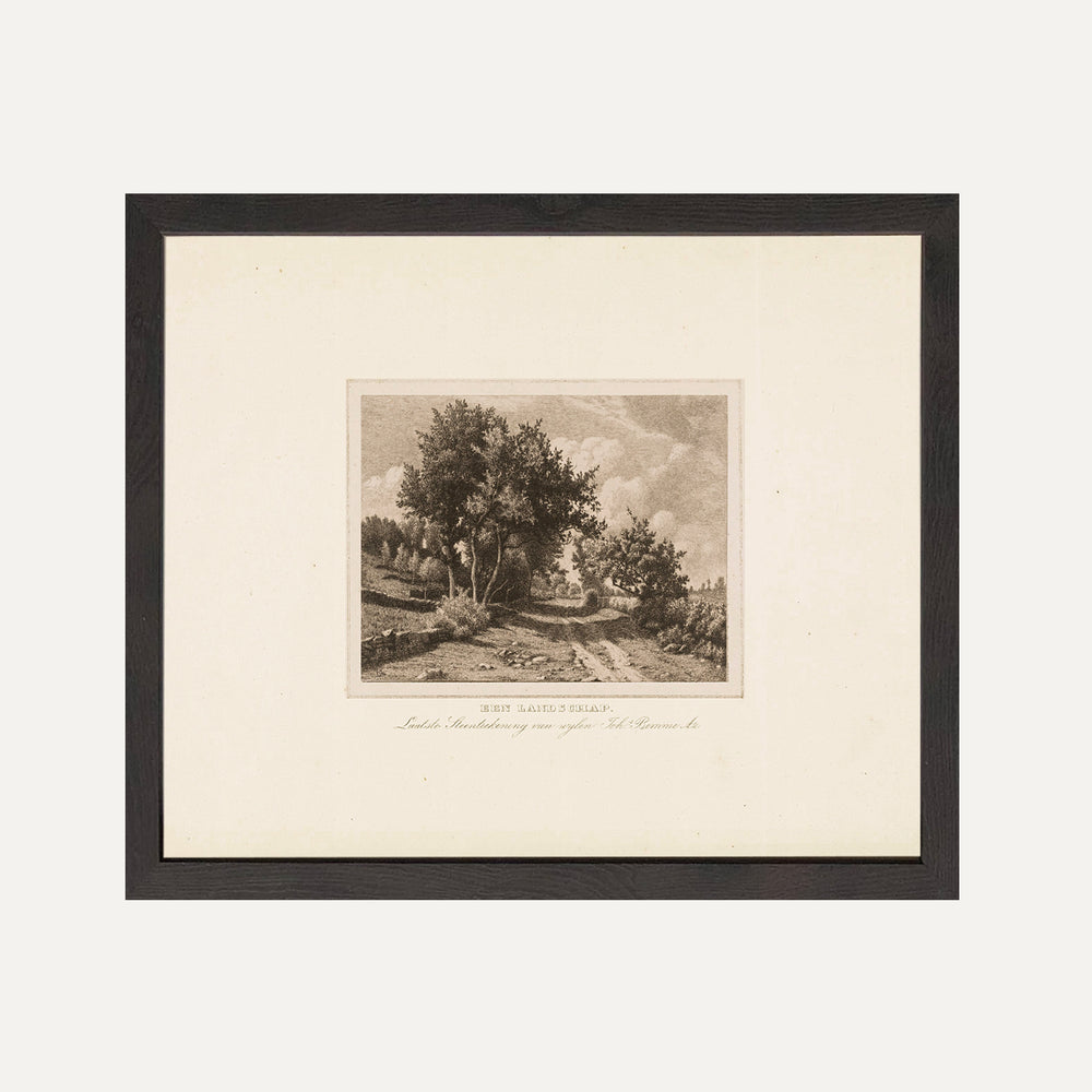 timeless vintage wall art lithographie landscape