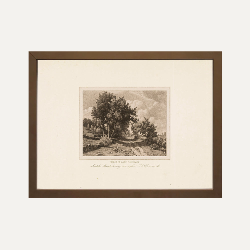 timeless vintage wall art lithographie landscape