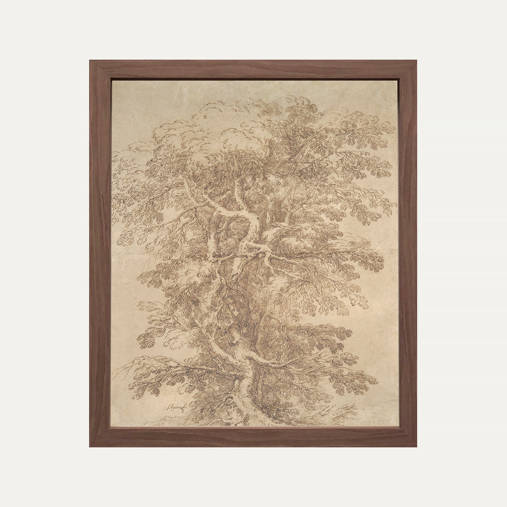 Cadre - 8 x10 - fine esquisse d'arbre