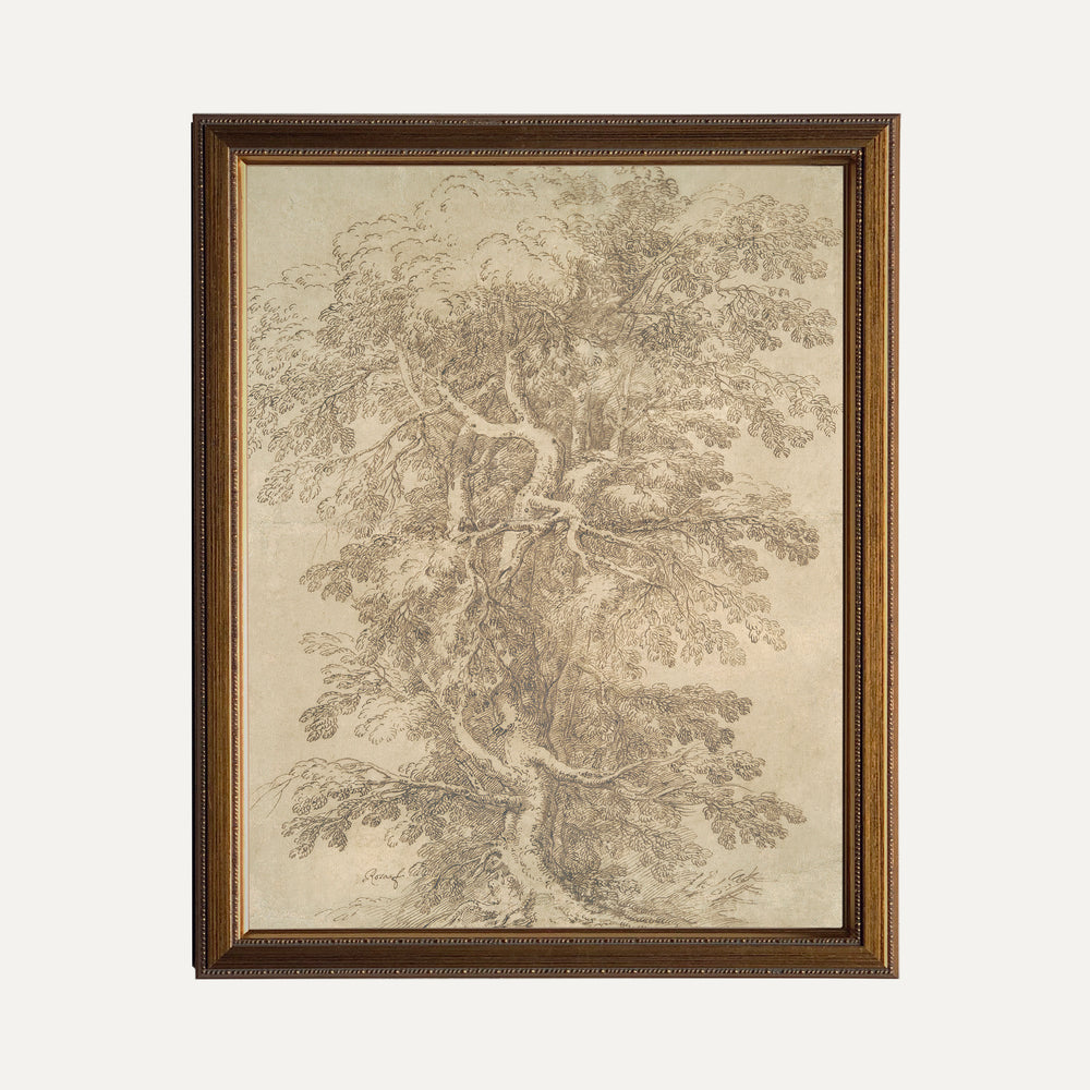 Impression sur papier beaux-arts - Esquisse arbre
