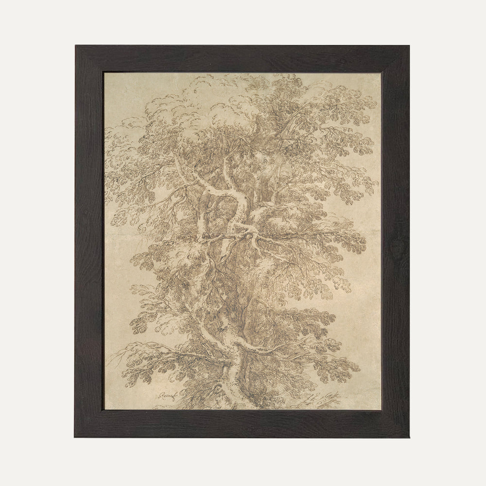 Impression sur papier beaux-arts - Esquisse arbre