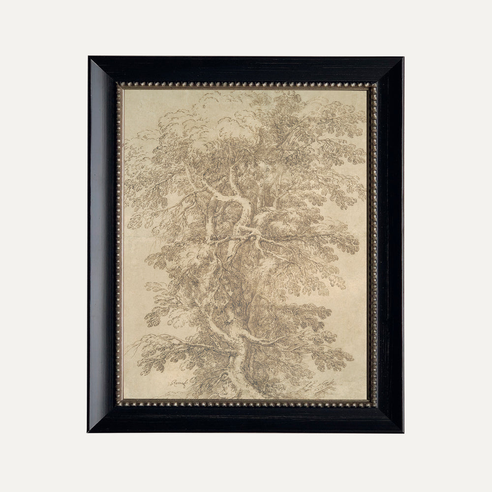 Impression sur papier beaux-arts - Esquisse arbre