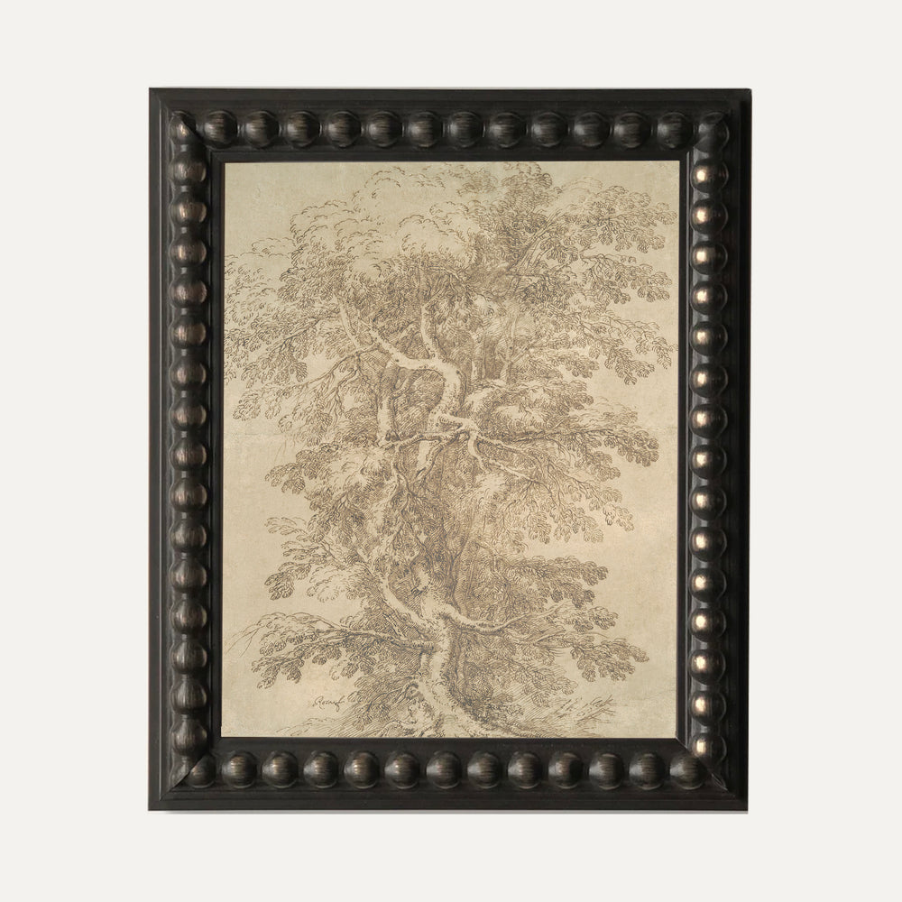 Impression sur papier beaux-arts - Esquisse arbre