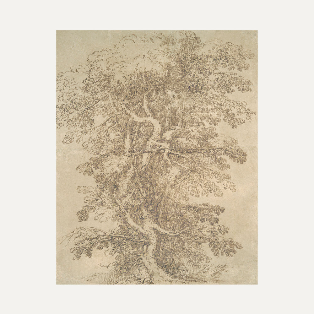Impression sur papier beaux-arts - Esquisse arbre