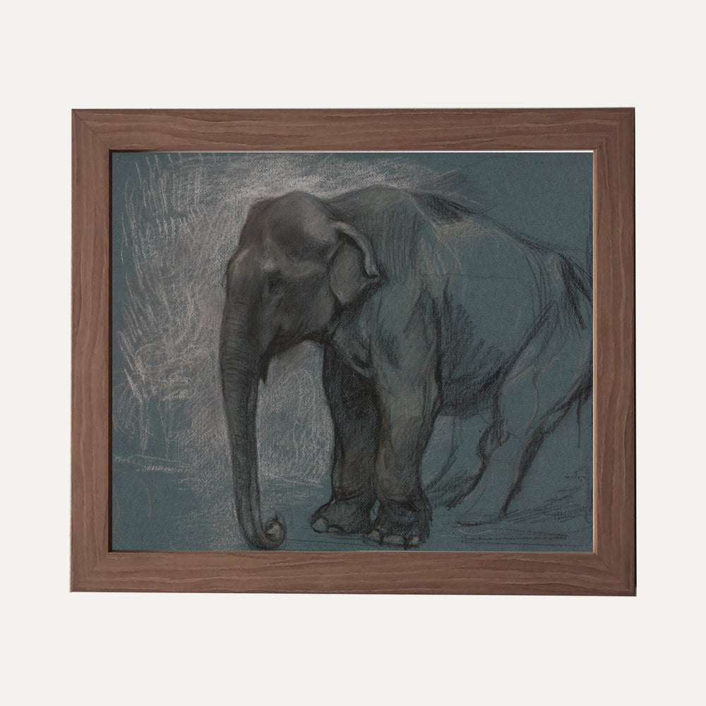 Impression sur papier beaux-arts - L'éléphant bleu