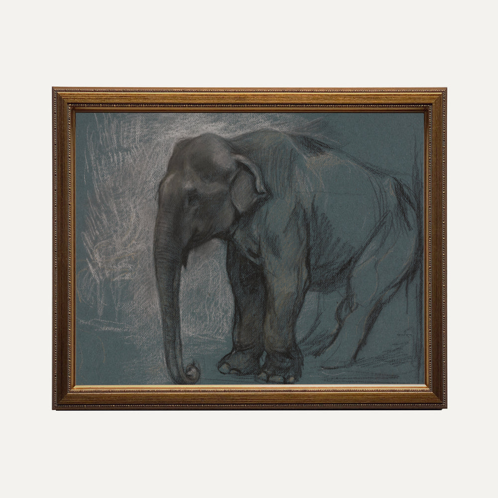 Impression sur papier beaux-arts - L'éléphant bleu