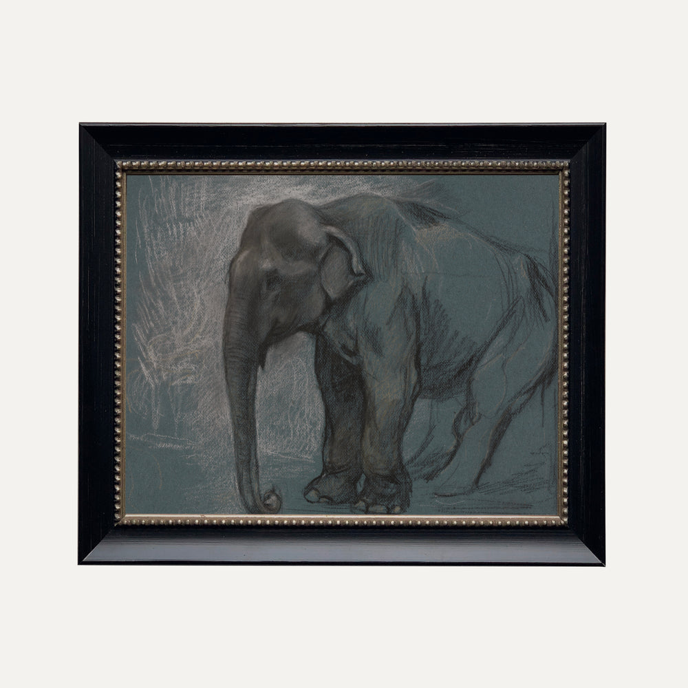 Impression sur papier beaux-arts - L'éléphant bleu