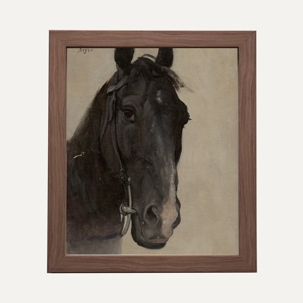 Impression sur papier beaux-arts - le cheval noir