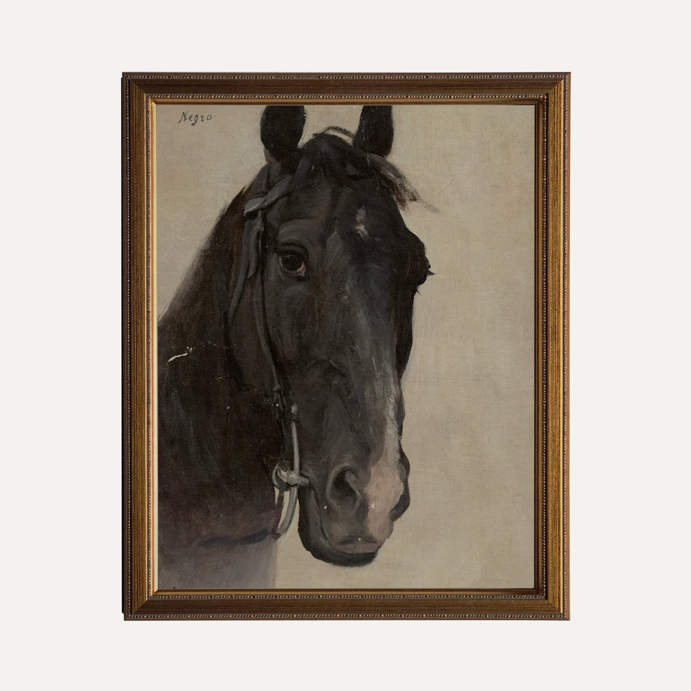 Impression sur papier beaux-arts - le cheval noir