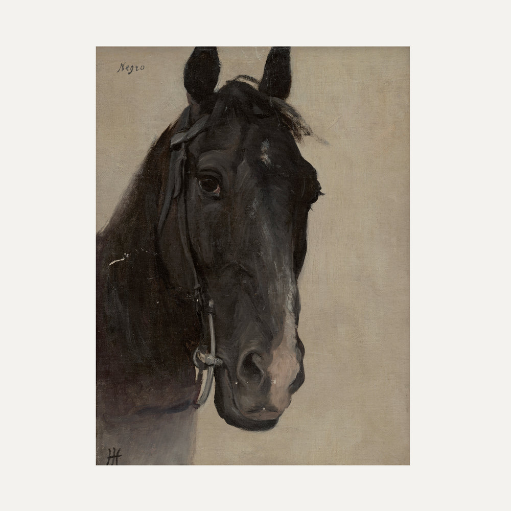 Impression sur papier beaux-arts - le cheval noir