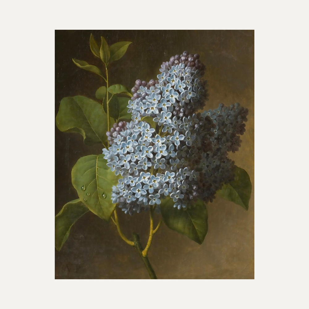 Impression sur papier beaux-arts - Bouquet de lilas