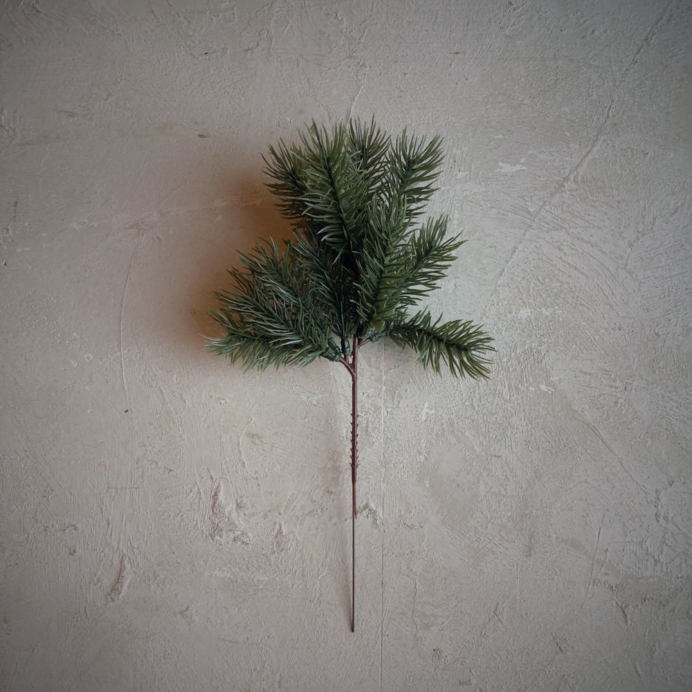 Petite branche de pin