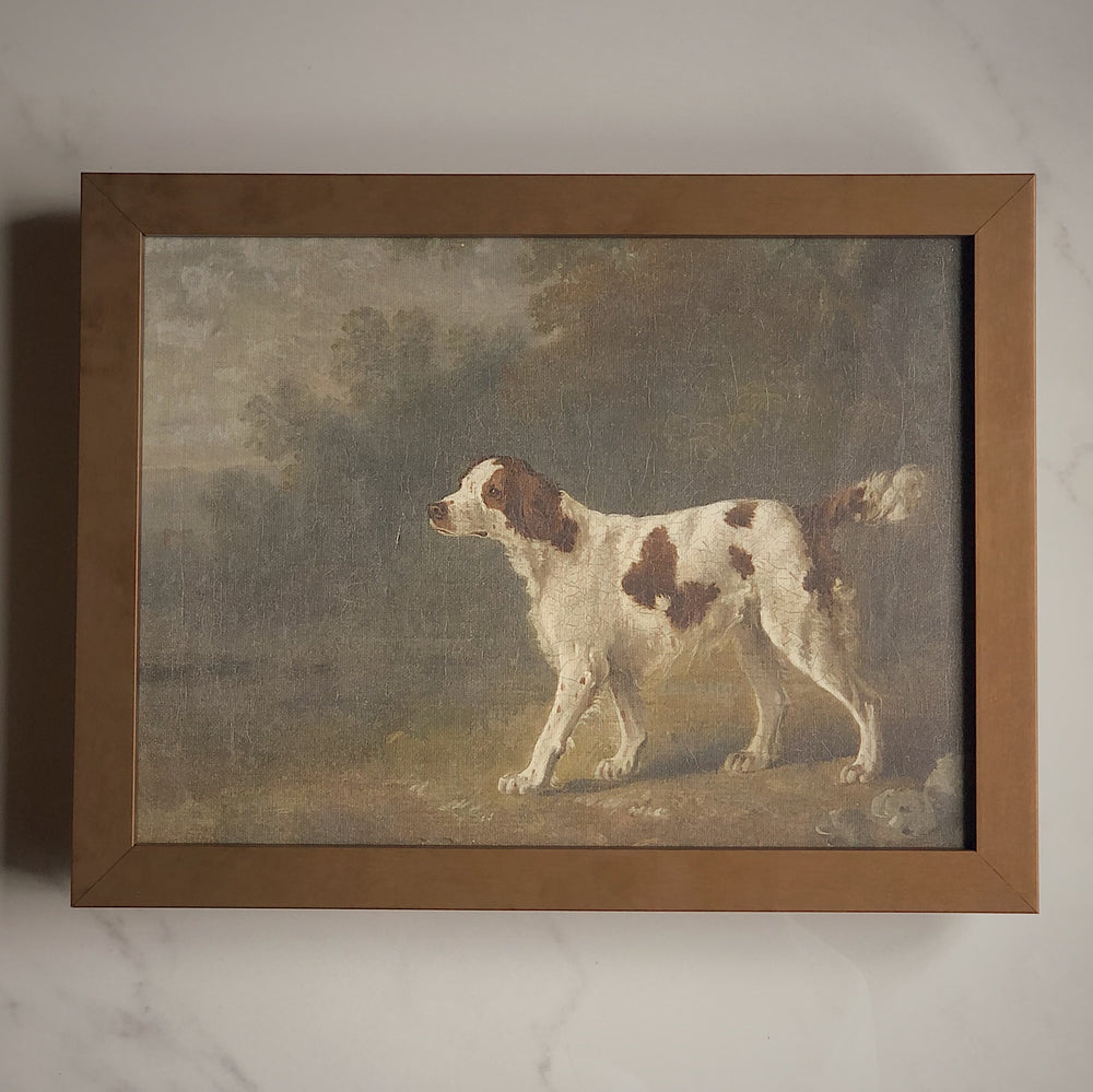 STRETCHED FLAT RIGID CANVAS - VINTAGE DOG