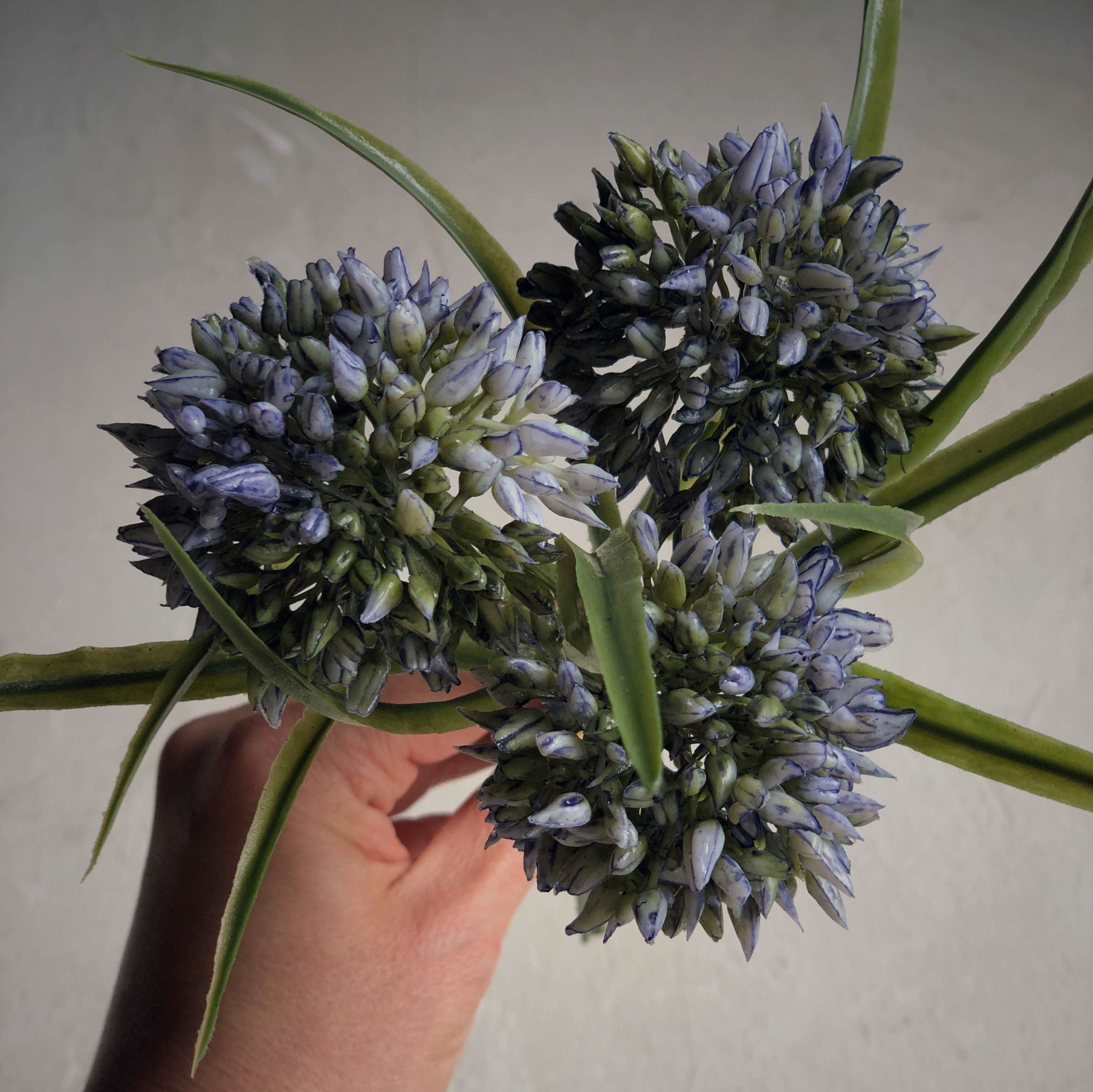 Décoration intérieure - arrangement floral |  Bouquet de graminées allium bleu - 3 tiges