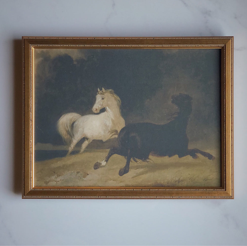 Toile rigide -  chevaux
