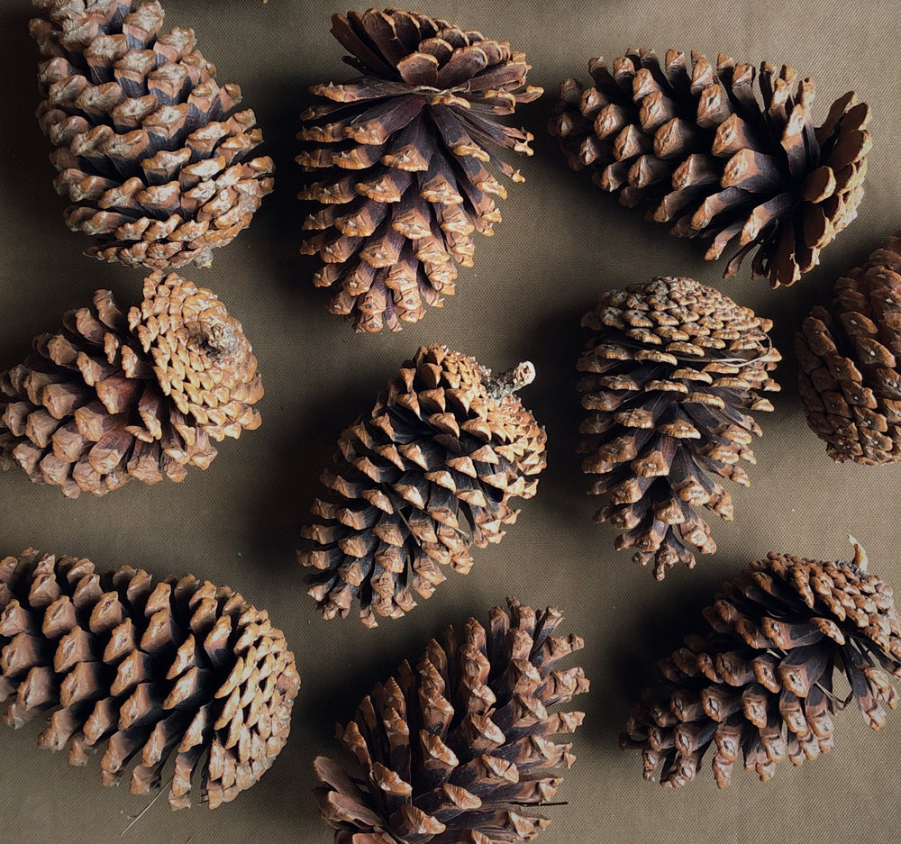 Grande cocotte naturelle