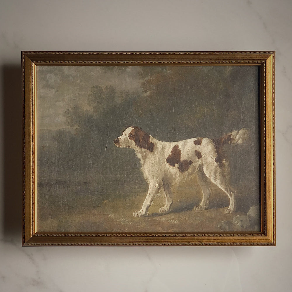 STRETCHED FLAT RIGID CANVAS - VINTAGE DOG