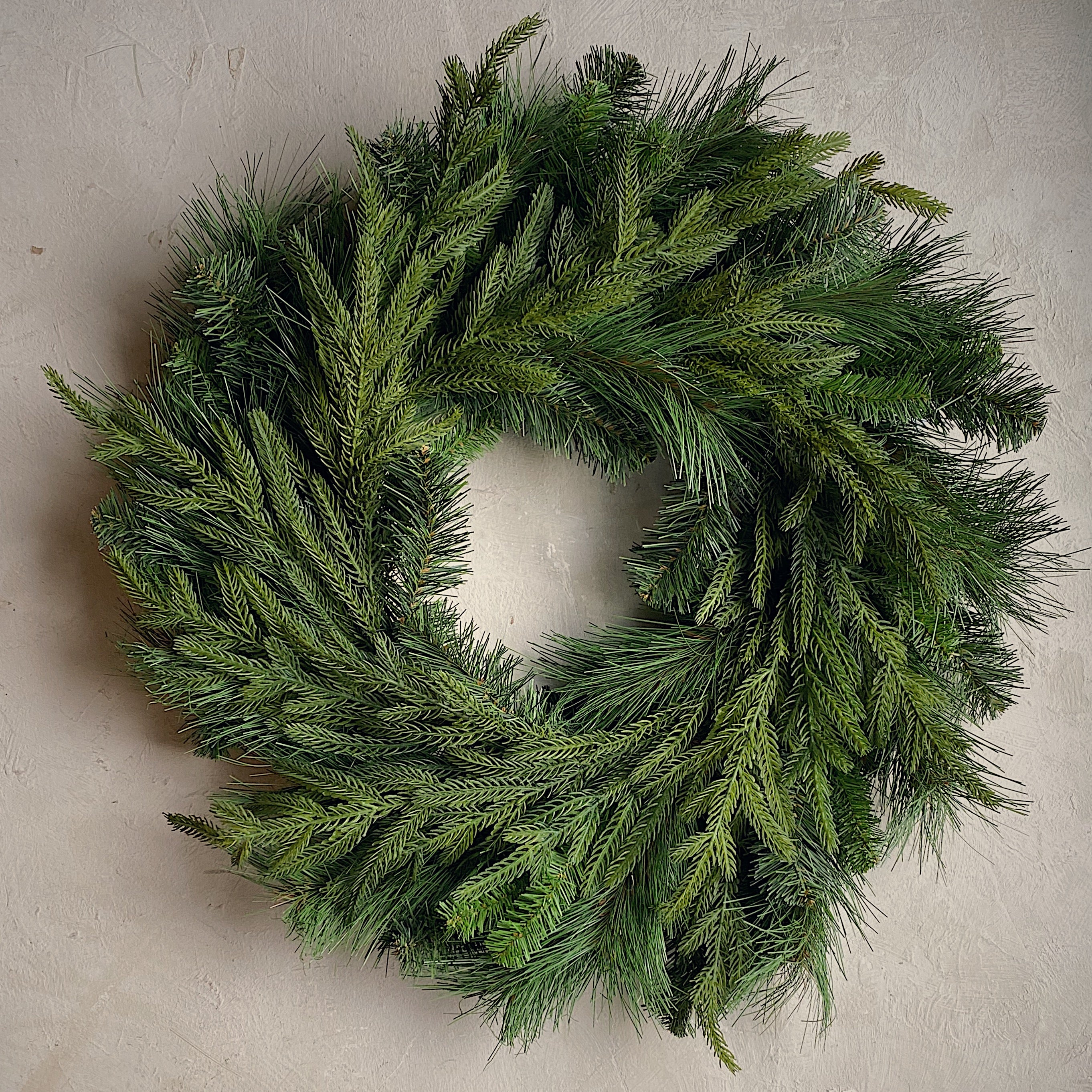 Classic 24" Norfolk Pine Elegance Wreath