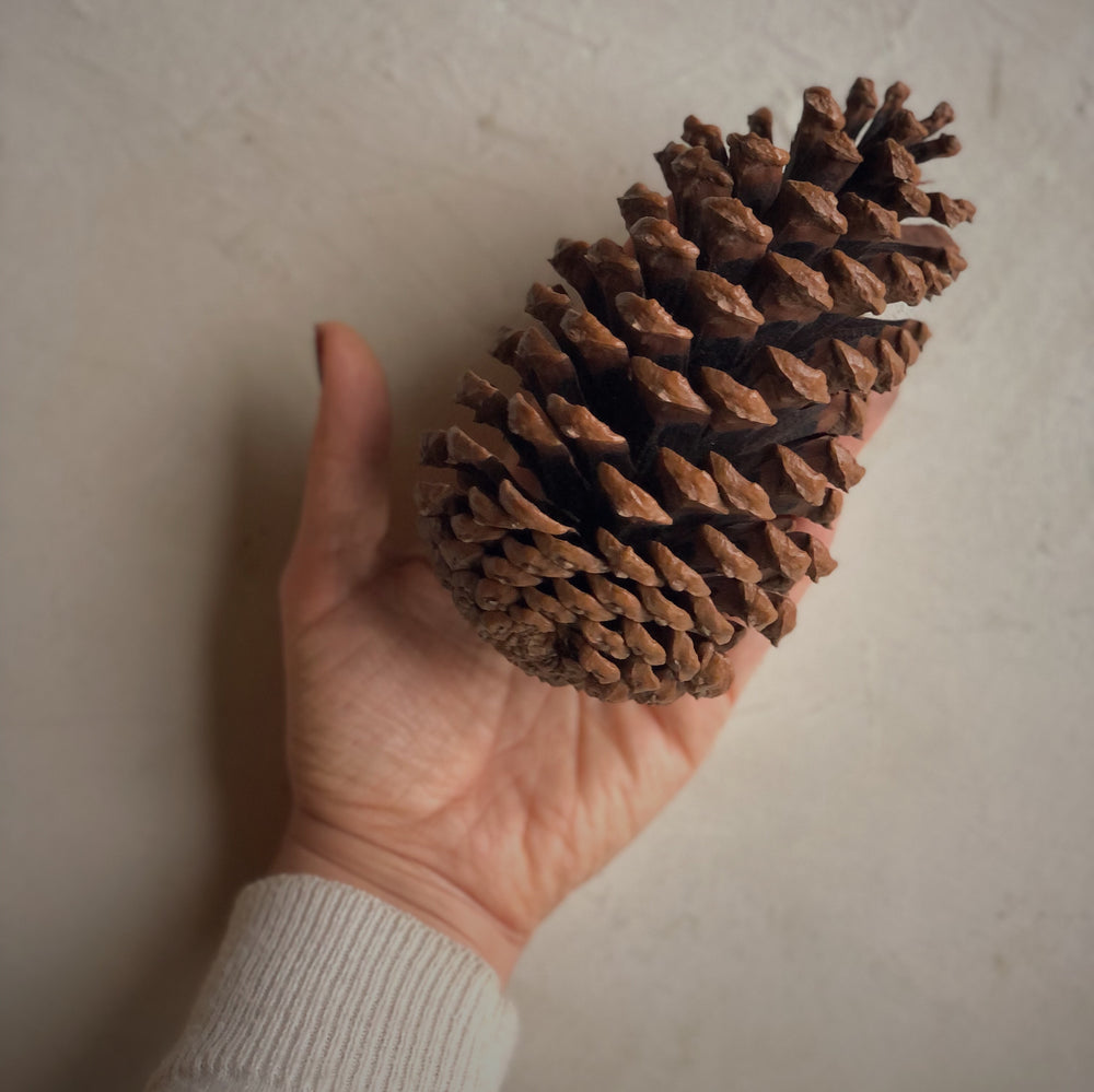 Grande cocotte naturelle