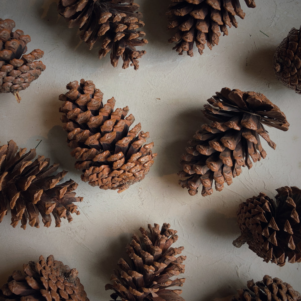 Vintage Brass Pinecone Paperweight, Natural Decor, Brass Pine Cone, Nature  Figurine, Brass Paper Weight, Winter and Fall Decor 