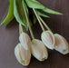 Fleurs_et_branches_artificielles_classiques_-_bouquet_de_tulipes_-_Classic_greenery_-_tulips_bunch