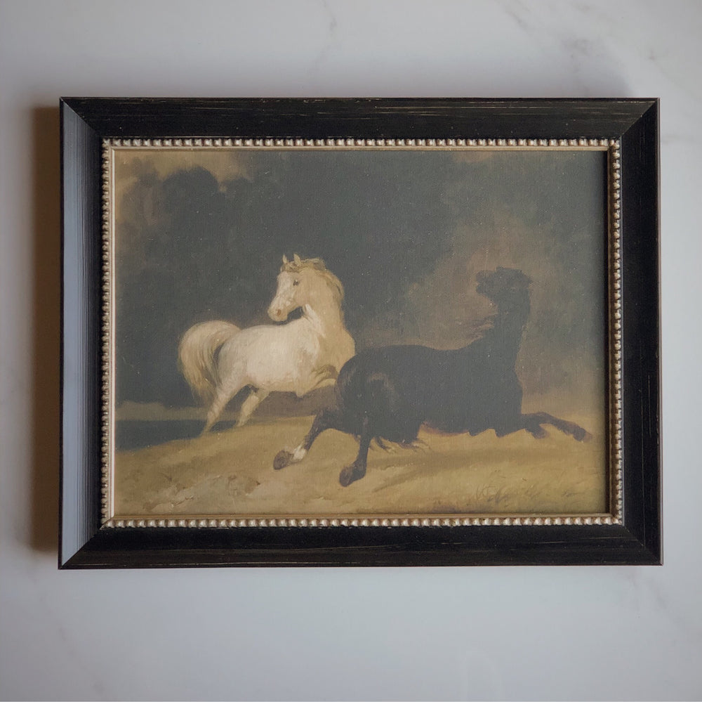 Toile rigide -  chevaux