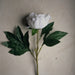 Décoration intérieure - arrangement floral |  Pivoine blanc artificielle 