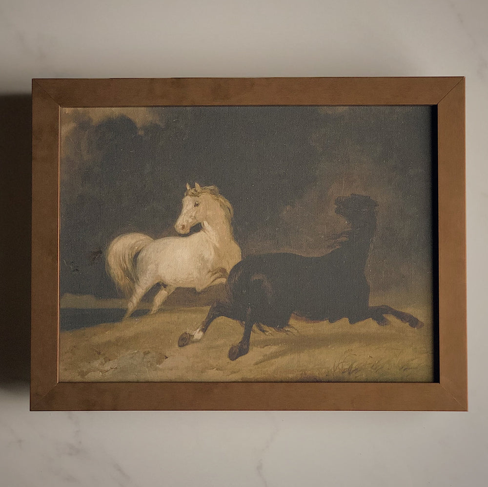 Toile rigide -  chevaux