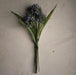 Décoration intérieure - arrangement floral | Bouquet de graminées allium bleu - 3 tiges