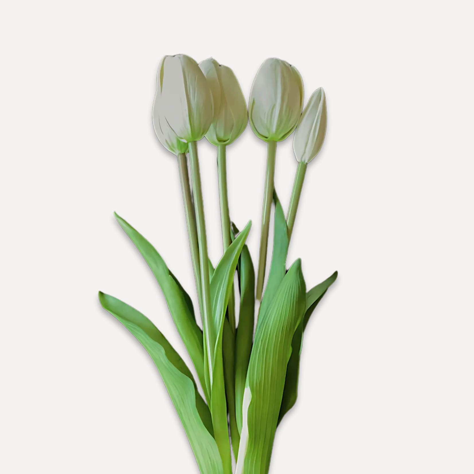 Bouquet de tulipes