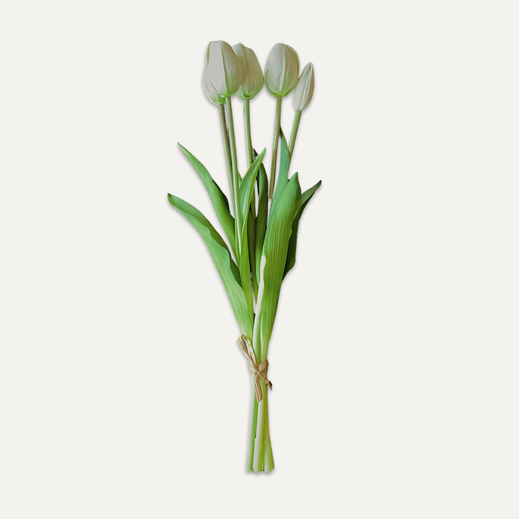 Bouquet de tulipes