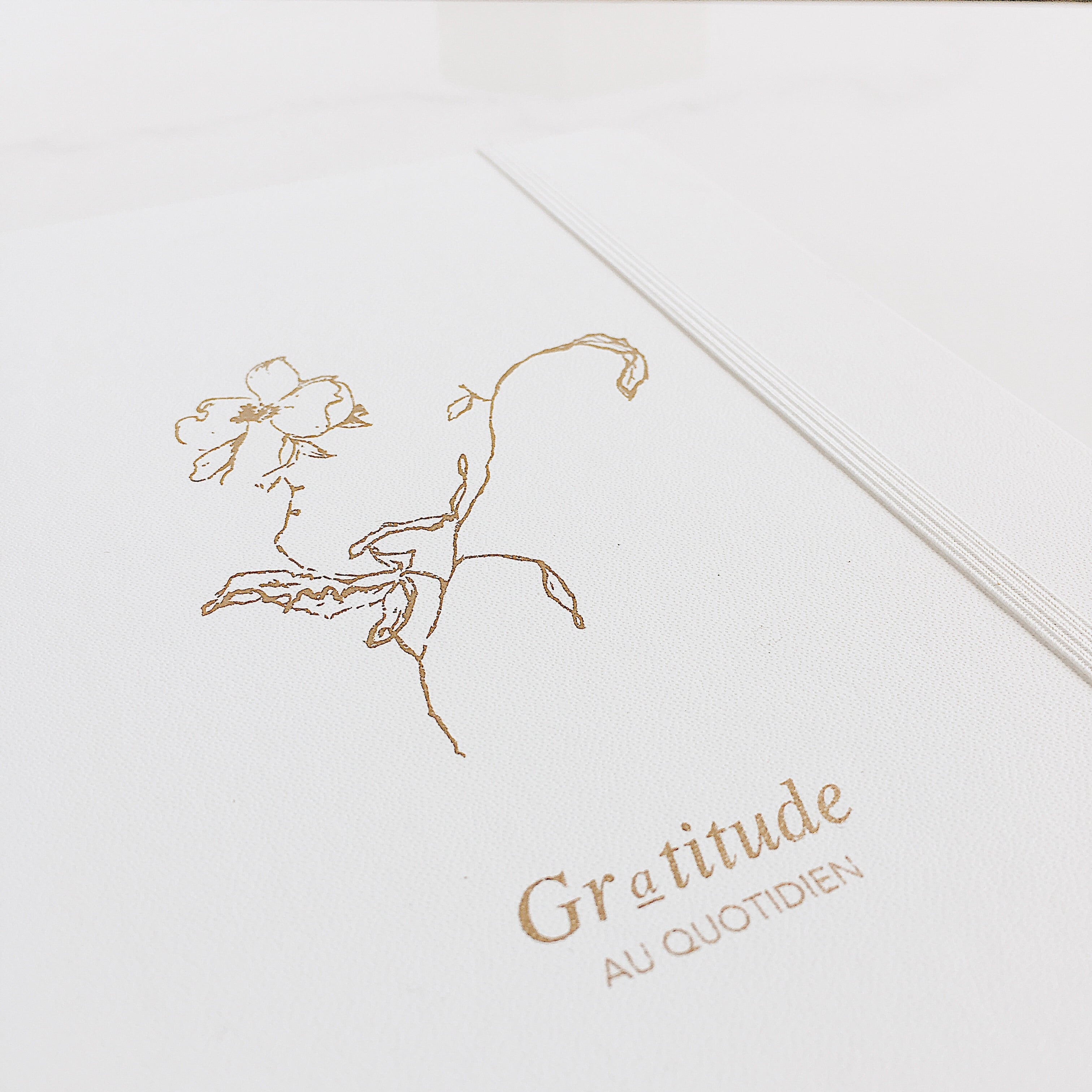 Journal de gratitude – Sur mon x
