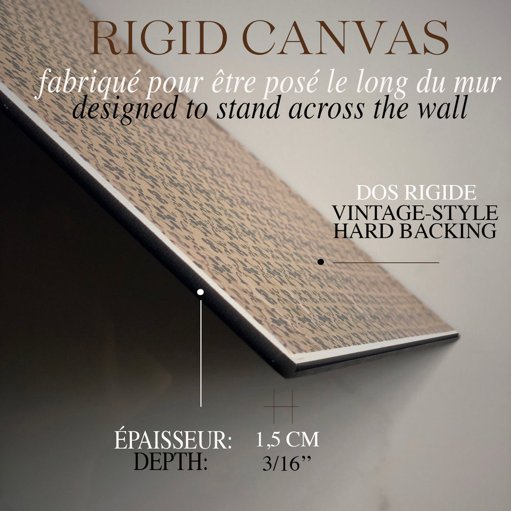 STRETCHED FLAT RIGID CANVAS -VICTOR HUGO'S PORTRAIT