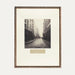 vintage frame wall art Paris photograph rue goblin