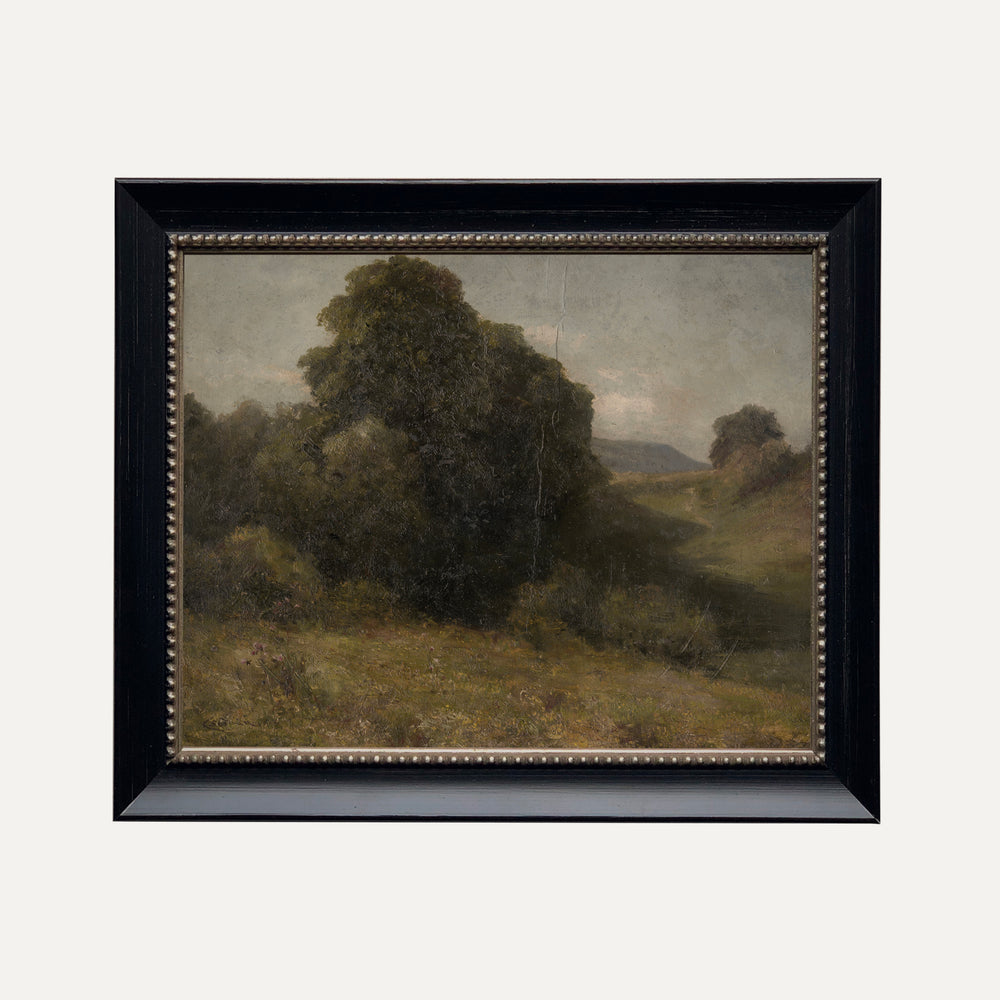 Impression sur papier beaux-arts - La verte vallée
