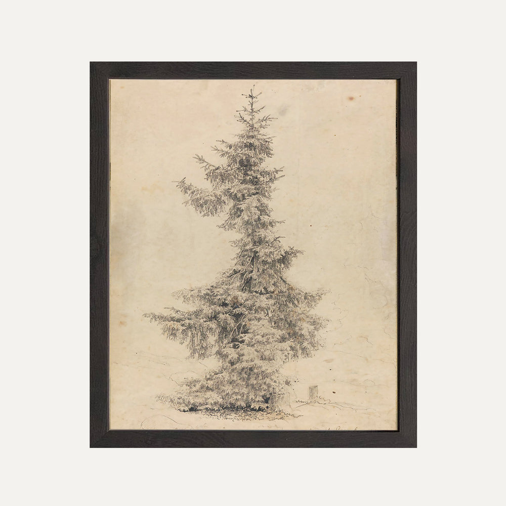 Impression sur papier beaux-arts - Mon beau sapin