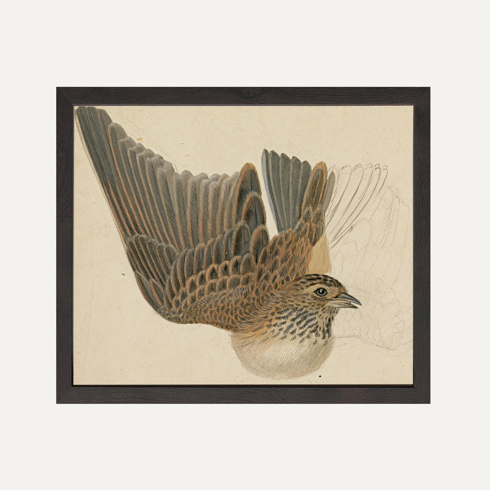 Impression sur papier beaux-arts - Sérénité Majestueuse